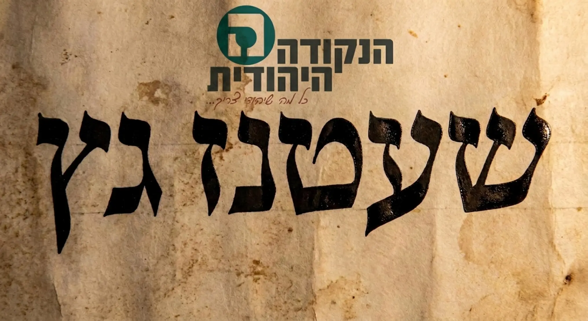 תקריב איכותי של קלף מגילה המציג את אותיות הסתם הברורות והמדויקות בצבע שחור בוהק עם התגים המסורתיים המעטרים את חלקה העליון של כל אות רלוונטית שעטנז גץ